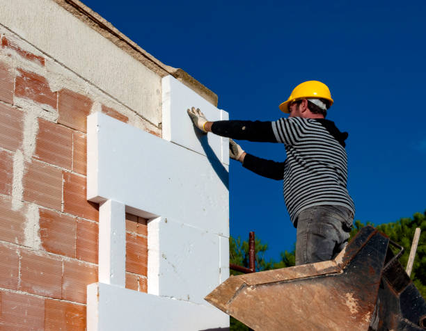 Best Insulation Contractor Near Me  in Clarion, IA