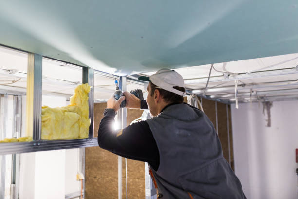 Best Best Insulation Companies  in Clarion, IA