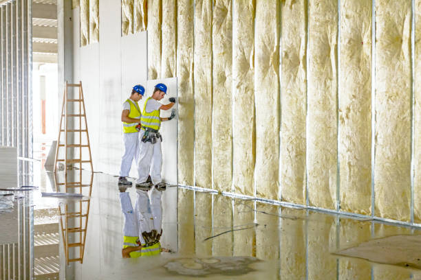 Best Insulation for New Construction  in Clarion, IA